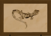 Web-footed Sand Gecko print.png
