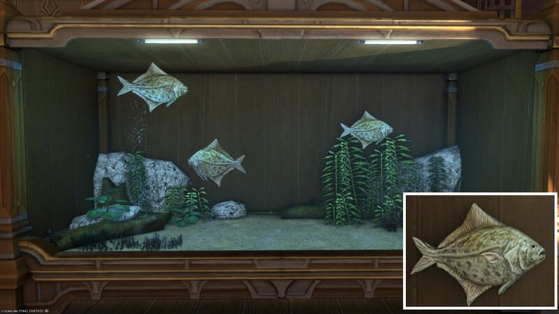 File:Aquarium Preview False Scad.jpg