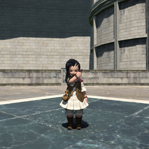 File:Imperial Salute Emote.png