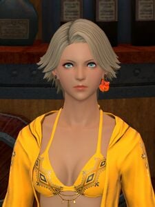 Moonfire Faire Vendor (2026)