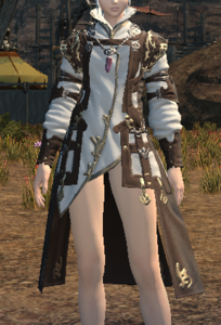 Allagan Tunic of Healing front.png