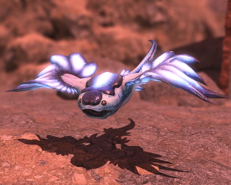File:Crescent Salt Swallow.jpeg