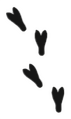 Thumbnail for version as of 05:51, 3 September 2026