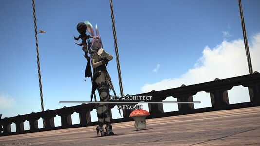 Apyaahi the Architect