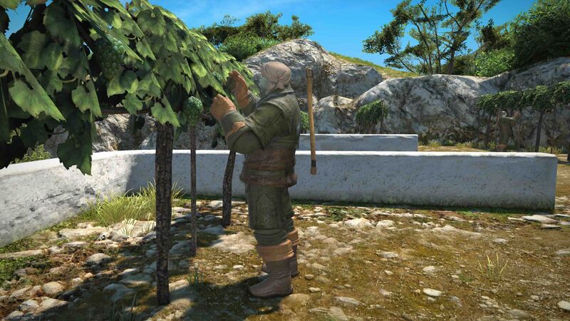 File:Jungbhar full.jpeg