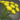 Select cudweed icon1.png