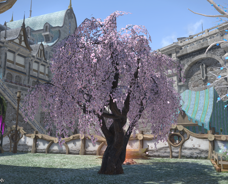 File:Weeping Cherry Tree.png