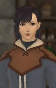 Higiri
