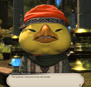 The Mellow Musician addresses the player directly.