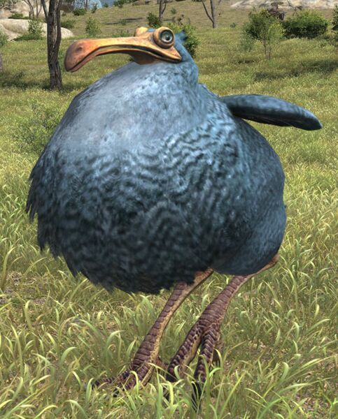 File:Thirsting Rail.jpg