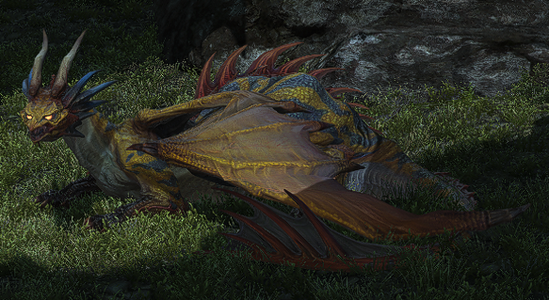 Yellow Dragon