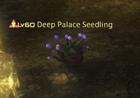 Deep Palace Seedling.png