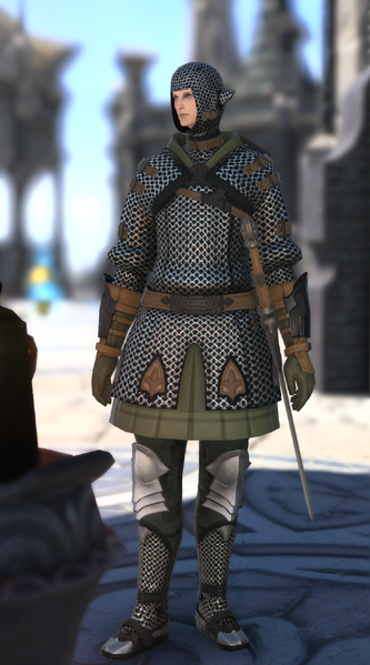 File:House Haillenarte Knight 2.png