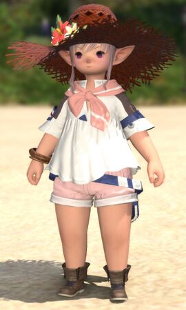 Appearance in Island Sanctuary