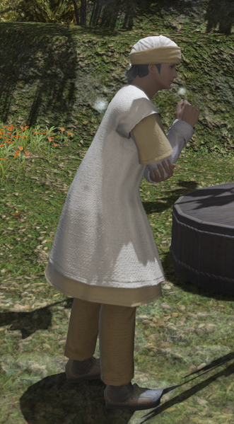 File:Ul'dahn Merchant.png