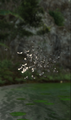 Thumbnail for version as of 07:22, 12 July 2026