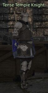 Tense Temple Knight