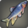 Utohmu dawnfish icon1.png
