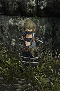 Hapless Treasure Hunter