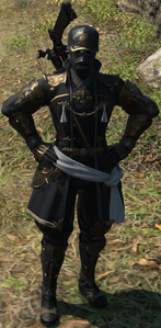 Imperial Decurion