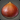 Lake Anemone Seed