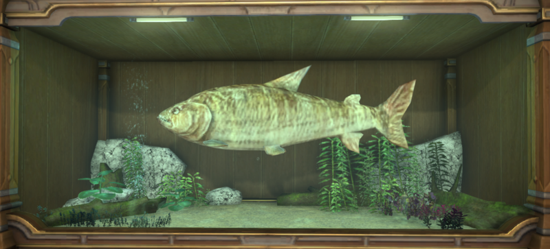 File:Tigerfish tank.png