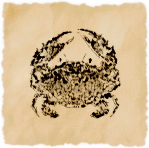 Pebble Crab
