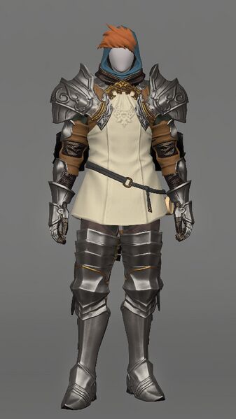 File:Xenobian Paladin's Attire Male.jpeg