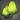 Island Glimshroom