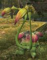Thumbnail for version as of 07:14, 24 May 2026