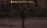 Necrose Knight.png