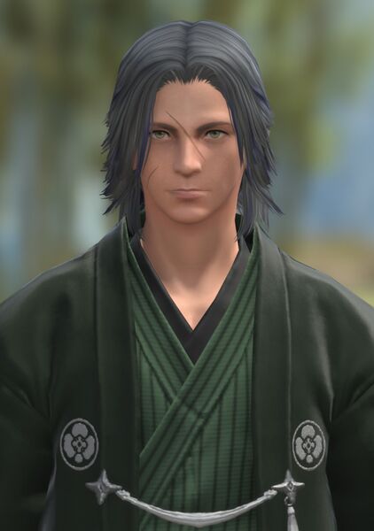 File:Senban Oneblade.jpg