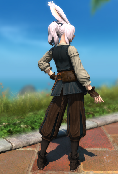 File:Tradewinds Tunic Back.png