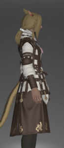 Allagan Tunic of Healing right side.png