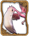 Colibri Card