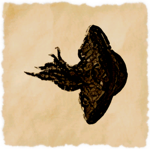 Saucerfish