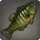 Striped peacock bass icon1.png