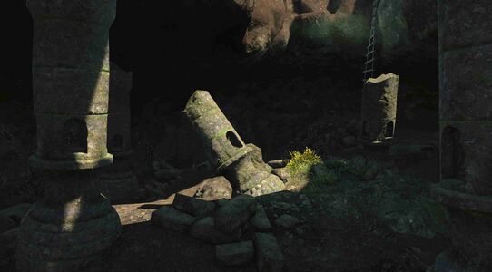 From within the cave