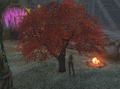 Thumbnail for version as of 02:40, 10 June 2026