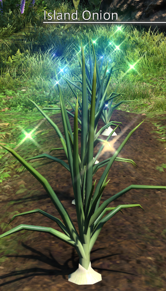 File:Island Onion Mature.png