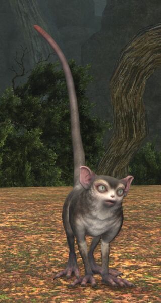 File:Wood Raider.jpg