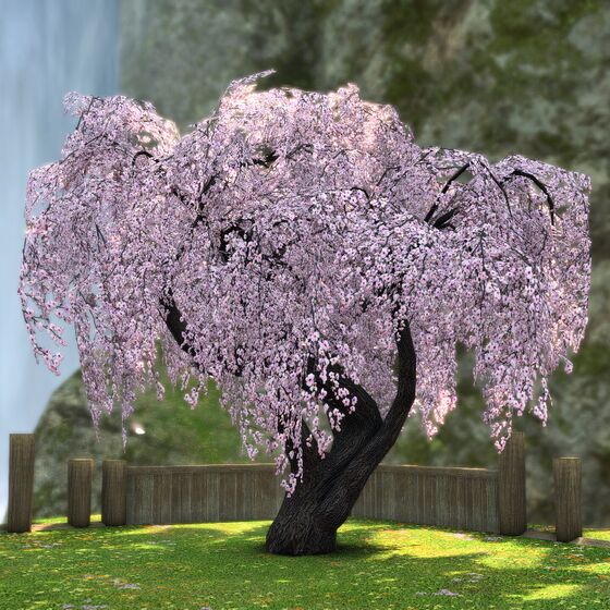 Weeping Cherry Tree - Final Fantasy XIV Online Wiki - FFXIV / FF14 ...