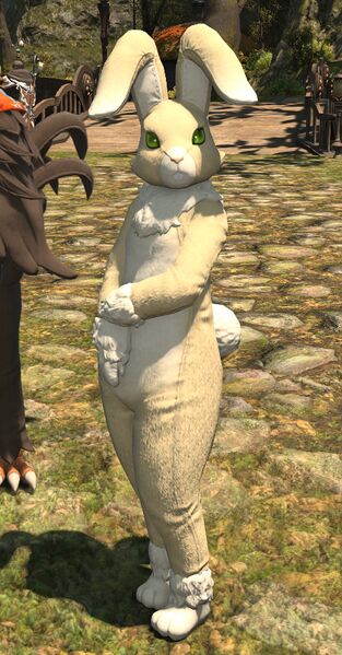 File:Rabbit of Reason full.jpg