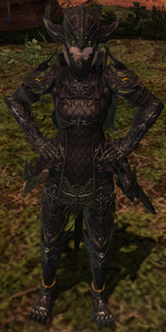 Radiant Host Captain