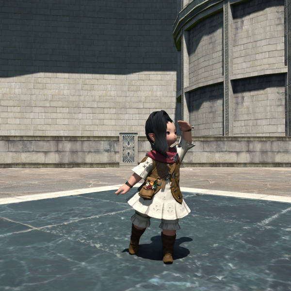 File:Lookout Emote.png