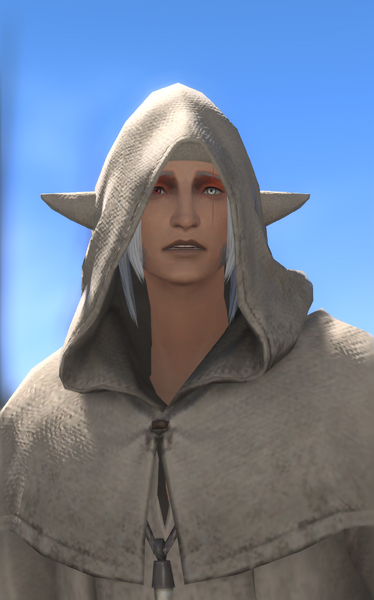 File:Sharp-eyed Loiterer 1.png
