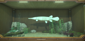 Albino Garfish tank.png