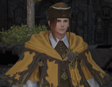 Tenacious Tour Guide