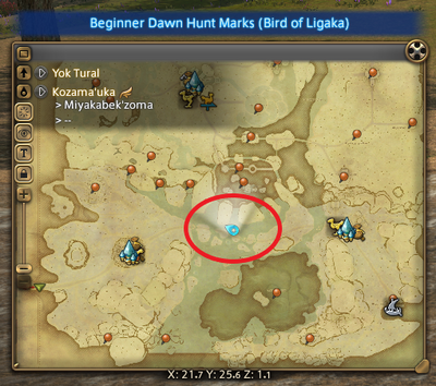 Bird of Ligaka Map.png