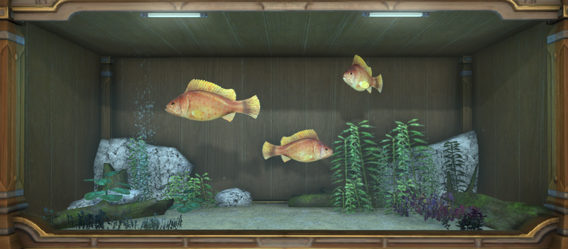 File:Zekki Grouper tank 1.png